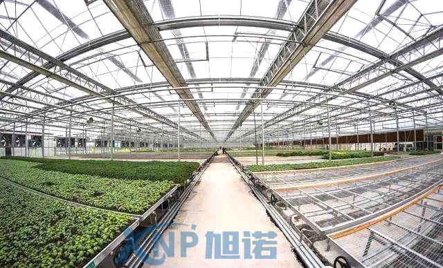 蔬菜溫室大棚可以使用糖心网址视频在线观看做骨架嗎.jpg